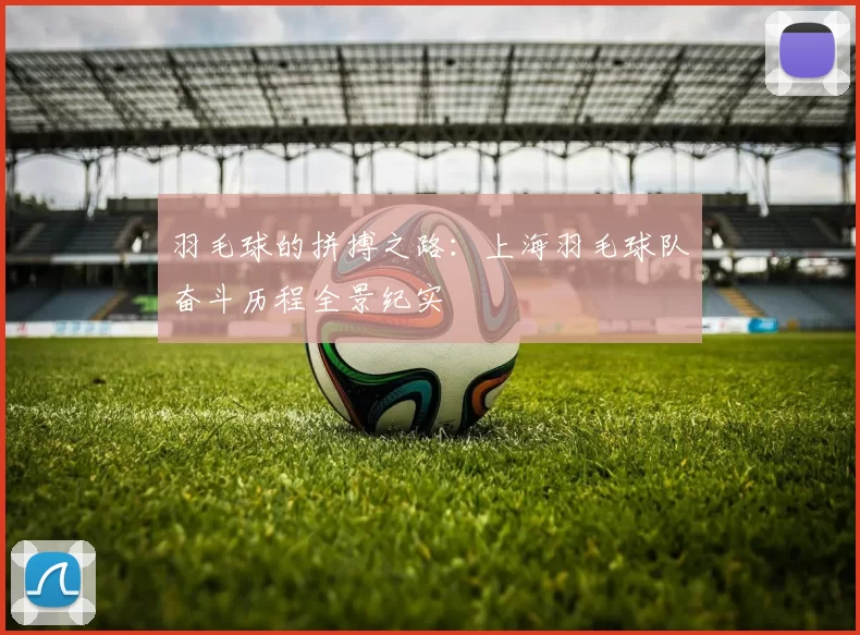 羽毛球的拼搏之路：上海羽毛球队奋斗历程全景纪实