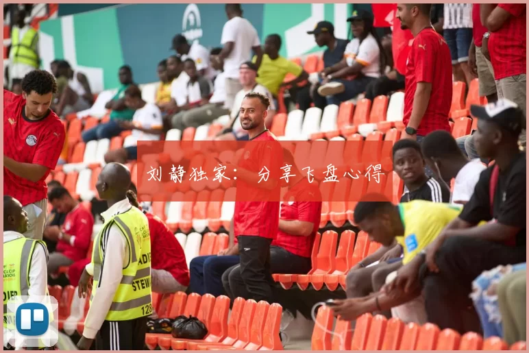 刘静独家：分享飞盘心得