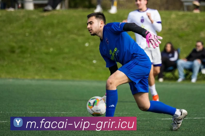 华体会体育品牌故事